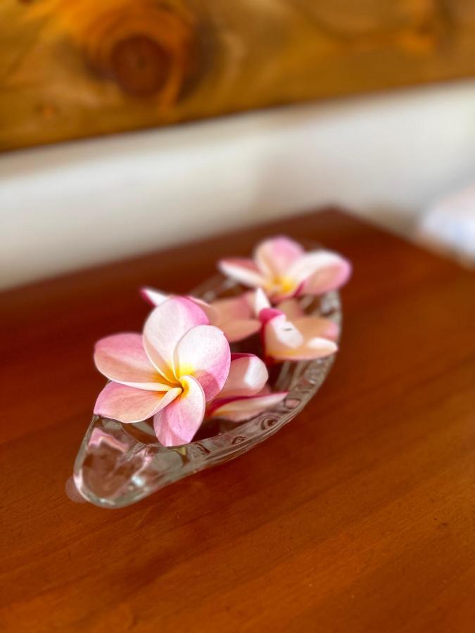 Hotel Ohiro ハンガ・ロア エクステリア 写真